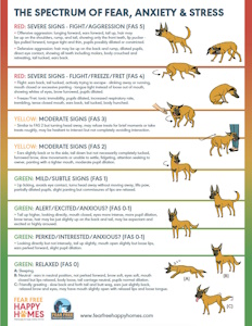 Canine vet visit stress levels