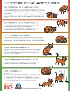 Feline vet visit stress levels