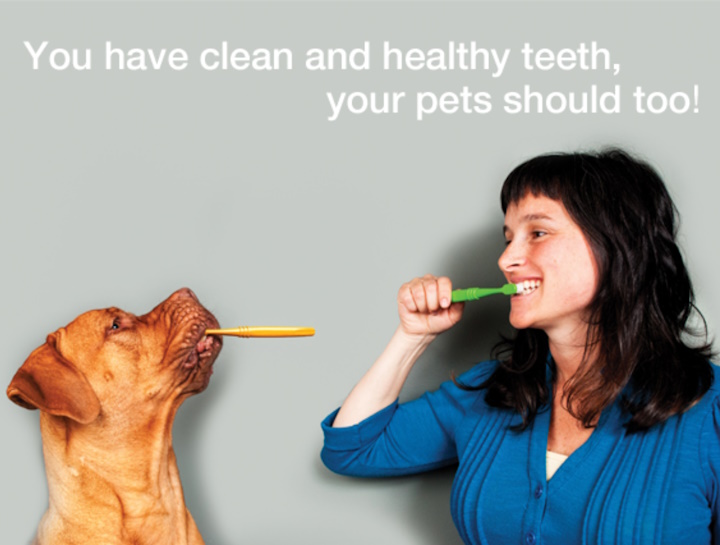 Pet Dental Care